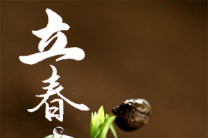 立春背景设计