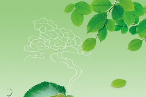 清新水果宣传海报背景素材
