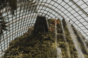 温室 植物 瀑布 建筑 4k壁纸 3840x2160
