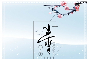 大气简洁小雪节气海报
