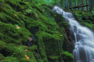 瀑布 苔藓 风景 自然 4k壁纸 3840x2160