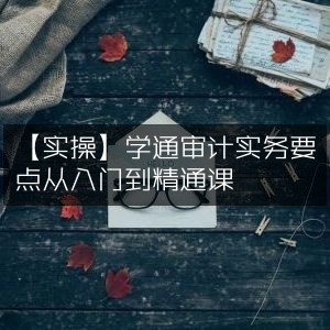 【实操指南】全面掌握审计实务要点，从新手入门到高手精通课程