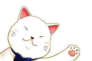 爱打招呼的小猫