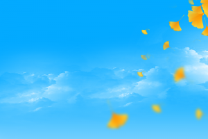 秋天立秋背景天空树叶水面
