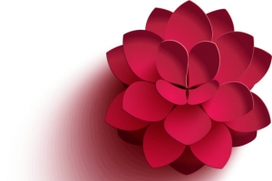 精美3D立体花展示
