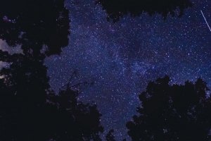 树 天空 夜晚 星星 4k壁纸 3840x2160