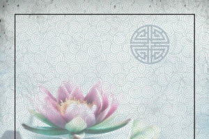 荷花中药足浴背景素材