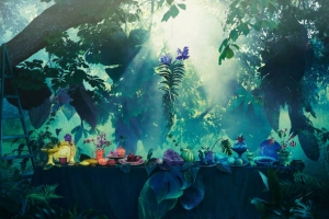 森林里的水果晚宴海报背景