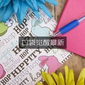 口袋觉醒，最新资讯速递