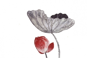 美丽的荷花水墨画
