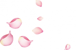 飞舞的粉色花瓣元素