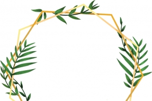 简约小清新树叶边框高清PNG透明AI设计素材免费下载