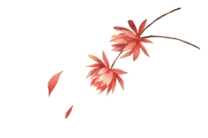手绘清新飘落橙色花朵