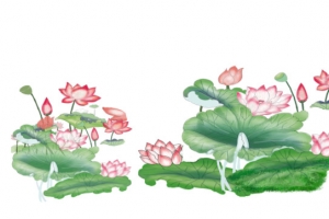 池塘荷花交错图