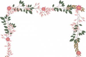粉红色浪漫花藤