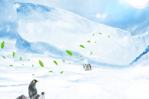 冰天雪地企鹅之家