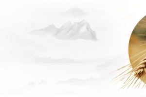 秋季简约白色banner