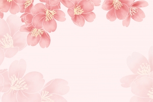 粉色花朵美容背景