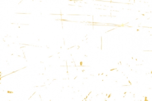 黄色斑斓花纹