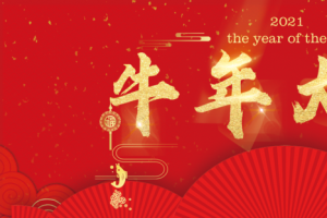 牛年 2021 元旦