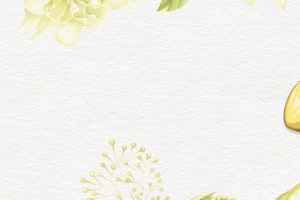 手绘芒果大促销简约棕色背景