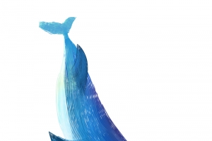 彩绘漂亮鲸鱼