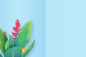 清新时尚清凉banner背景