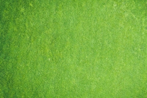 表面 纹理 绿色 粗糙 4k壁纸 3840x2160
