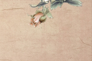 古风纸质质感鸟语花香背景素材