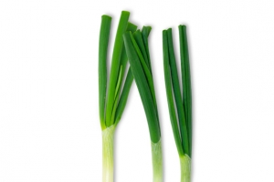 大葱 葱 蔬菜 日本大葱