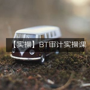 实操指南，BT审计实战课程