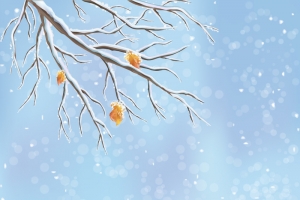 冬天唯美雪景树枝PSD分层H5背景素材