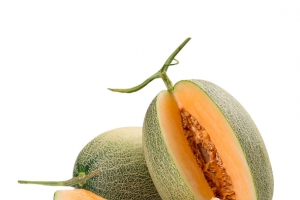 西周蜜瓜  蜜从美味开始