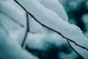 树枝 雪 宏 冬天 自然 4k壁纸 3840x2160