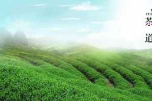 茶园风景设计海报背景