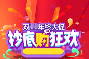 双11双十一抄底购物狂