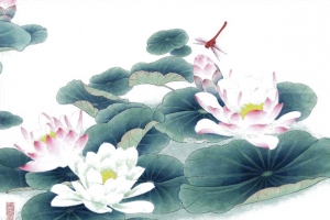 荷塘蜻蜓