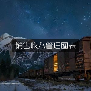 销售收入可视化管理图表