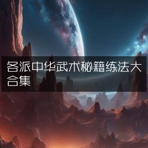 中华武术各派秘籍练法全集
