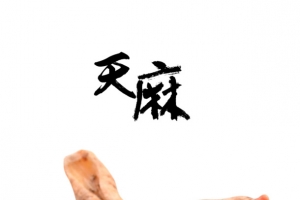 中药天麻