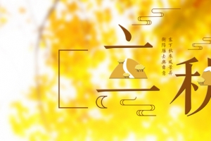 小清新二十四节气立秋banner海报