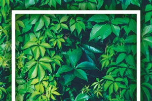 夏季新品上线易拉宝背景