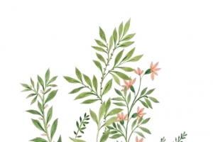 手绘绿叶花卉植物