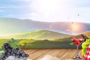 美味葡萄酒景色大山banner
