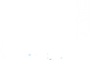 稻田