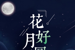 中秋插画宣传海报背景psd