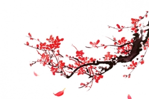 梅花飘落素材