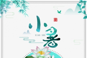 小暑荷花手绘印章元素