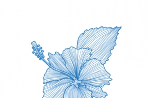 浅蓝色手绘花朵