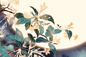 手绘夜晚树枝花朵插画